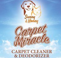 Carpet Miracle - Carpet Cleaner and Deodorizer Solution for Hoover, Bissell, Rug Doctor, Kenmore (32FL OZ) N7