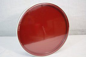 Nordic Ware Springform Pan N2