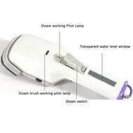 Handheld Garment Steamer Brush, FeBite Powerful Ironing Machine Portable Clothing Fabric Hanging Steam Brush 650W... N8