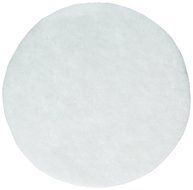 Bissell Secondary Disc Garage Pro 18P0 Filter