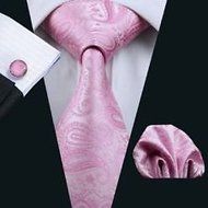 Dan Smatree Wedding Pink Paisely Necktie Silk Bussiness Mens Tie Set