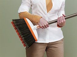 Bissell 1778 Smart Details Brushwares Pet Hair Broom N4