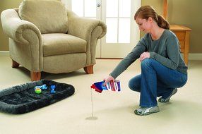Bissell 1740 Woolite Instaclean Pet with Brush Head Cleaner N2