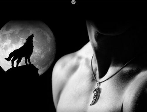 Punk Stainless Steel Men Domineering Wolf Tooth Shape Pendant Necklace Jewelry N4