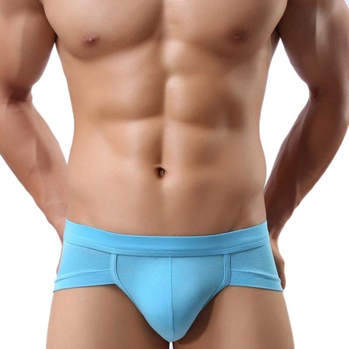 Underswear Laimeng,Trunks Sexy Underwear Men Men's Boxer Briefs Shorts Bulge Pouch soft Underpants (L, Blue) N4