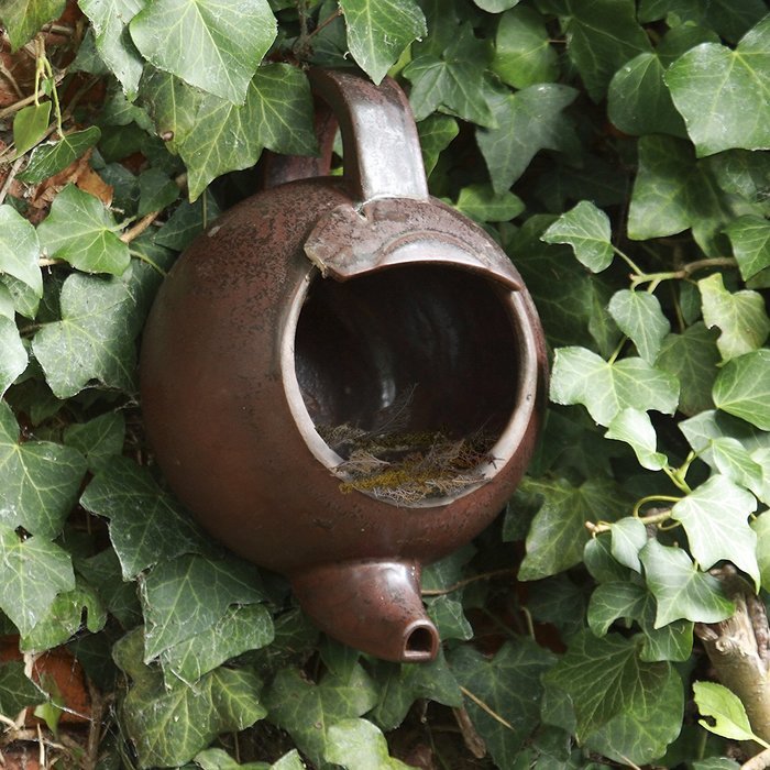 Robin Teapot Nester Fathers Day Dad Man Father Present N2