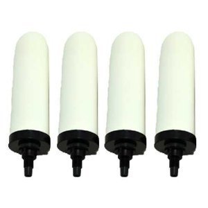 Doulton W9121200 7 Super Sterasyl Ceramic Filter Candle - Pack of 4 by Doulton