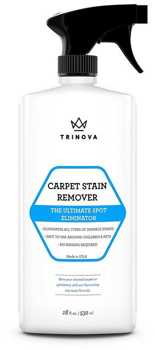 Carpet Stain & Spot Remover - Cleaner & Eliminator for Upholstery Marks & Blemishes - Protects Against Set In... N2