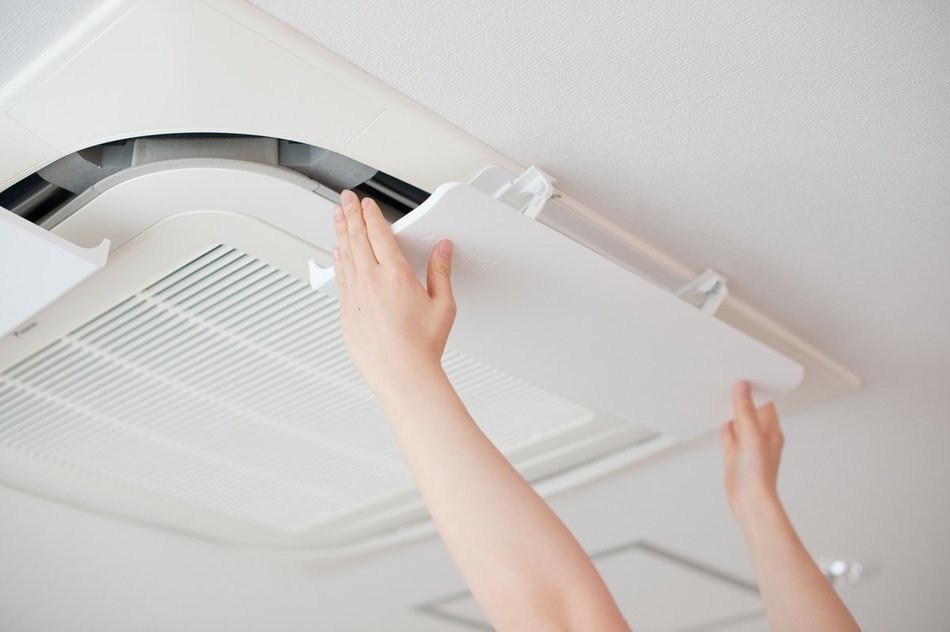Air Wing Pro The Original Air Deflector Ivory N11