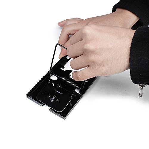 10 x Big Size Effective Mouse & Rat Hunt Trap Mousetrap Pest Killer N4