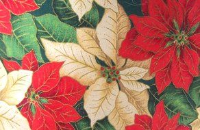 Handmade Red and White Christmas Poinsettia Print Fabric Tea Cozy Lined and Padded Cosy