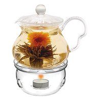 Tea Beyond Teapot Fairy with Tea Warmer Cozy