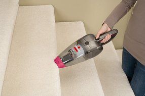 BISSELL Pet Hair Eraser, Refined Bronze/Magenta, 94V5A N6