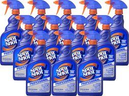 Spot Shot Professional Instant Carpet Stain Remover N2