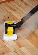 Little Yello Steam Cleaner and Accessory Kit