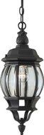 Forte Lighting 1702-01-04 Traditional 1-Light Exterior Hanging Lantern with Clear Beveled Glass, Black Finish...