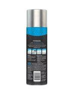 STAINMASTER Carpet High Traffic Foam Cleaner, 22 Ounce N3