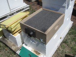 Colorado Bee Vac N5