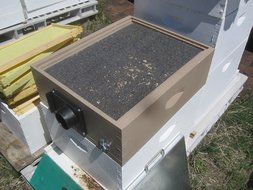 Colorado Bee Vac N6