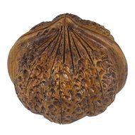 Chinese Yixing Zisha Handcraft Walnut Extra Big Size Tea Pet Deco Home Decor