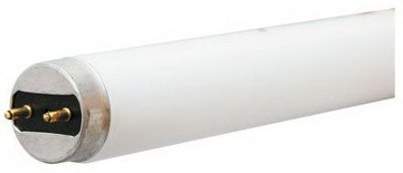 GE32W 4' Mid Fluo Tube by GE Lighting