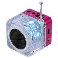 iwish TT028 Mini Digital Portable Music MP3/4 Player Micro SD/TF USB Disk Speaker FM Radio (Rose) N3