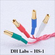 DH Labs Silver HS-1 [Pure Silver Turntable Leads] by Silversonic