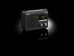 Pure ONE Flow Portable Internet and FM Radio N3