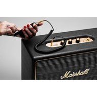 Marshall Hanwell Speaker in Green