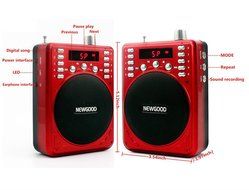 NEWGOOD Bluetooth Portable Voice Amplifier With Wireless Headset Microphone, MP3 Player(SD TF Card/ Flash Drive... N4