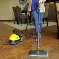 McCulloch MC1275 Heavy-Duty Steam Cleaner N3