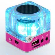 iwish TT028 Mini Digital Portable Music MP3/4 Player Micro SD/TF USB Disk Speaker FM Radio (Rose) N5