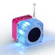 iwish TT028 Mini Digital Portable Music MP3/4 Player Micro SD/TF USB Disk Speaker FM Radio (Rose) N6