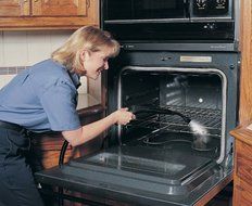 Steam Fast SF-250 Steam Mouse Cleaner N3