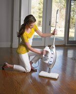 Shark Lift-Away Professional Steam Pocket Mop (S3901D) N2