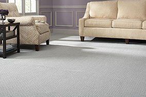 Bissell Canister Upright Vacuum Cleaner, with Cyclonic Cleaning System, Lightweight &amp; Powerful Suction with Telescoping... N3