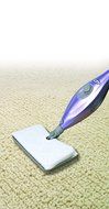 Shark Steam Pocket Mop (S3501) N12