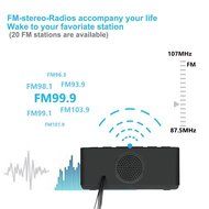 [Upgraded] Peakeep Little Digital FM Radio Dual Alarm Clock with Snooze and Sleep Timer, Large Display with 2... N2