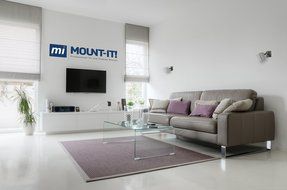 Mount-It! MI-SB03 Dual Low Profile Heavy Duty, Anti-Theft, Universal, Adjustable, Articulating, Hi-Fi Audio Media... N4