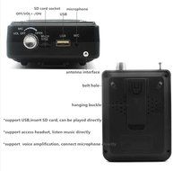NEWGOOD Bluetooth Portable Voice Amplifier With Wireless Headset Microphone, MP3 Player(SD TF Card/ Flash Drive... N11