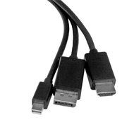 StarTech.com DPMDPHD2HD 6&#039; HDMI, DisplayPort or Mini DisplayPort to HDMI Converter Cable N10
