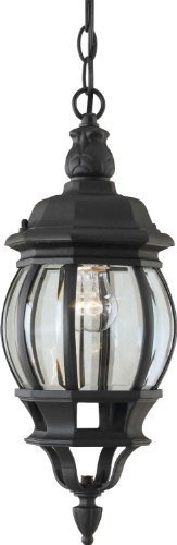 Forte Lighting 1702-01-04 Traditional 1-Light Exterior Hanging Lantern with Clear Beveled Glass, Black Finish...