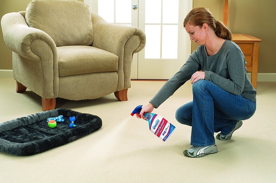 Woolite INSTAclean Stain Remover, 1742 N2