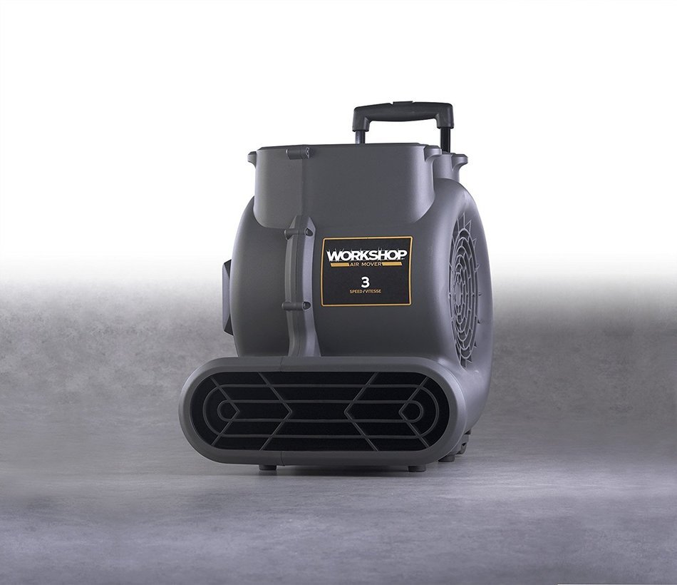 WORKSHOP WS1625AM Air Mover Fan & Carpet Dryer, High Velocity Blower Fan / Floor Dryer with Collapsible Handle...