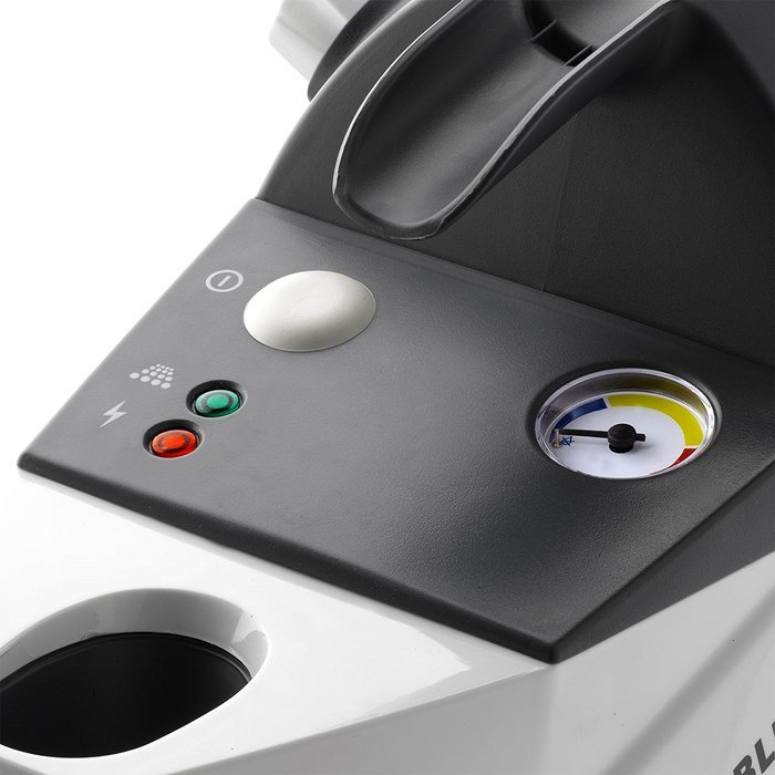 Reliable Brio 250CC Steam Cleaner, Multi-Purpose N4