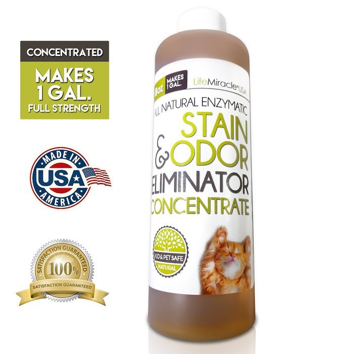 Life Miracle Enzyme Cleaner - All Natural Stain Remover, Odor Eliminator and Neutralizer - Best Carpet, Rug, Clothing... N3