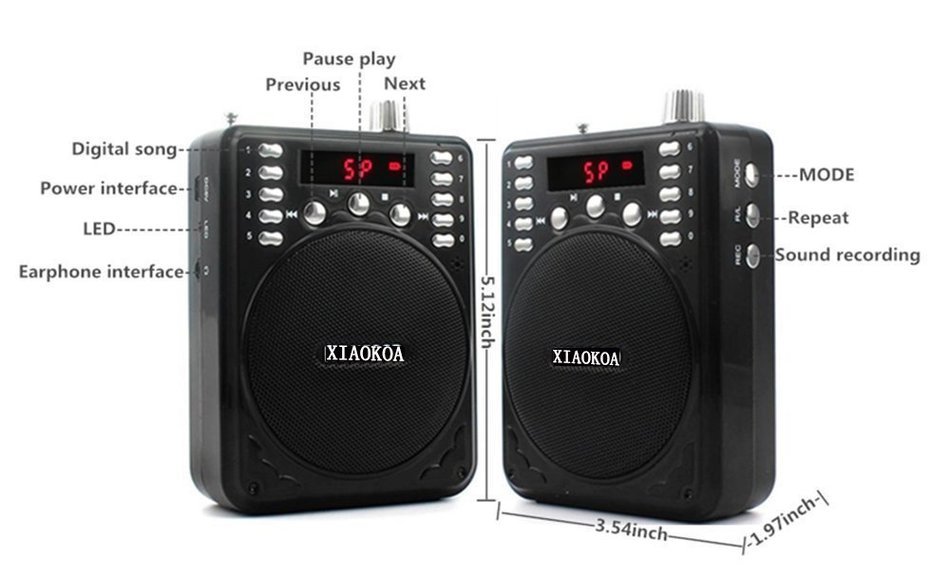 NEWGOOD Bluetooth Portable Voice Amplifier With Wireless Headset Microphone, MP3 Player(SD TF Card/ Flash Drive... N6