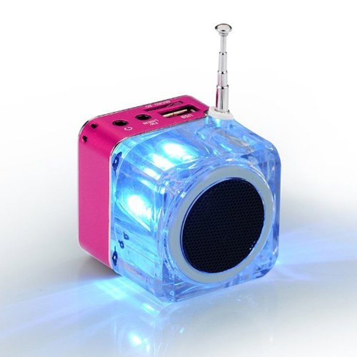 iwish TT028 Mini Digital Portable Music MP3/4 Player Micro SD/TF USB Disk Speaker FM Radio (Rose) N6