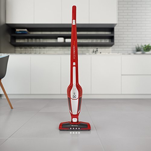 Electrolux EL2081A Ergorapido Lithium Ion Brushroll Clean Xtra, Cordless 2-in-1 Stick and Handheld Vacuum N9