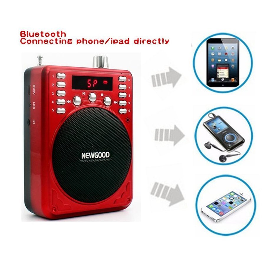 NEWGOOD Bluetooth Portable Voice Amplifier With Wireless Headset Microphone, MP3 Player(SD TF Card/ Flash Drive... N9
